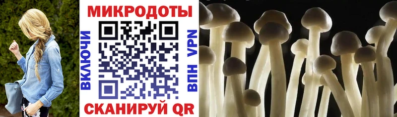 Псилоцибиновые грибы GOLDEN TEACHER Галич