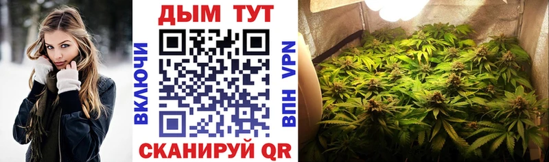 Купить закладки  Галич  Бошки Шишки тримм 